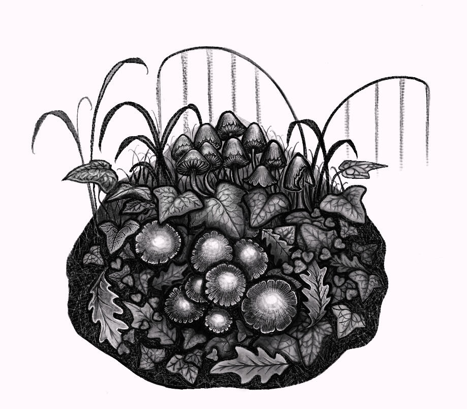 where the slugs write their letters, 2023