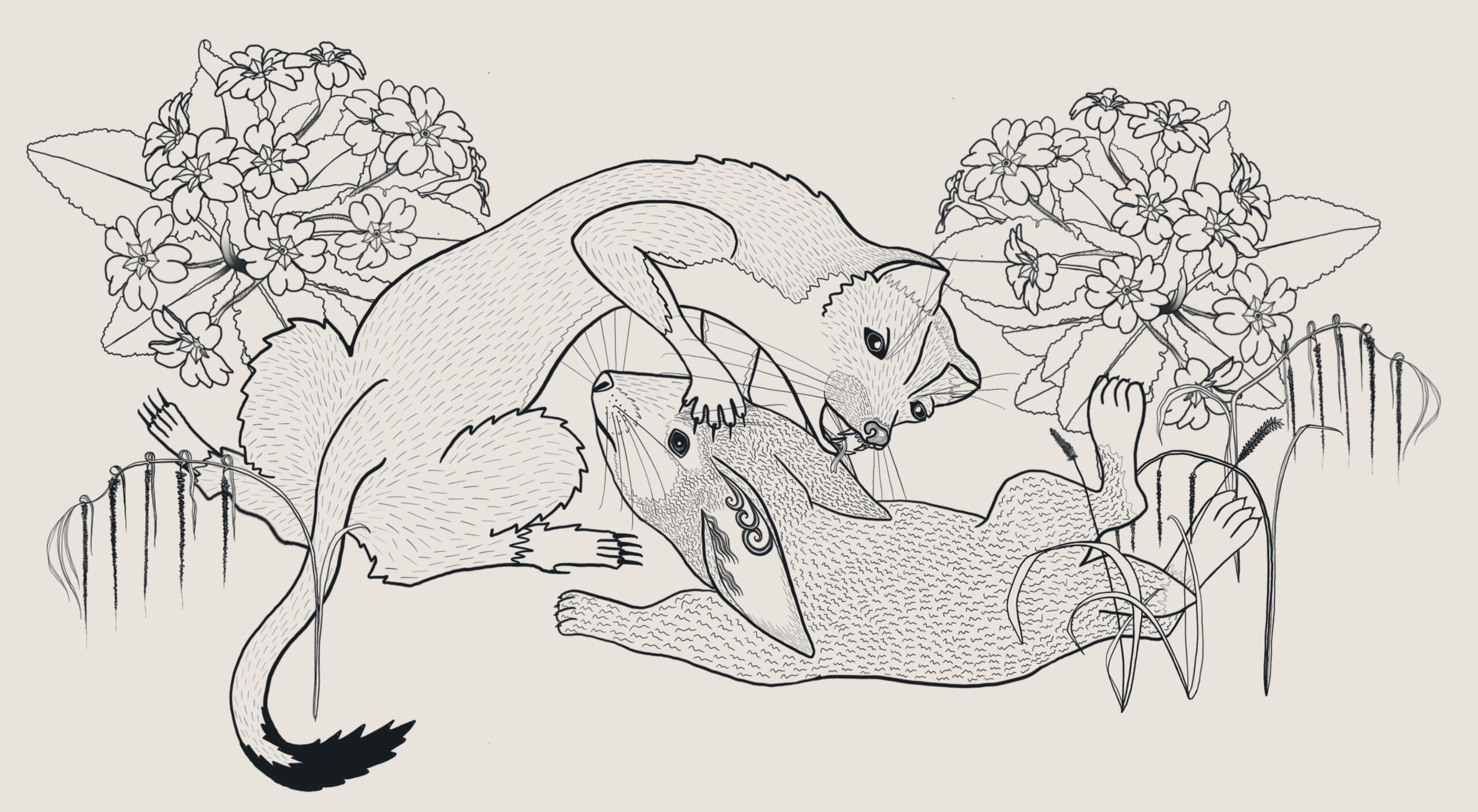 rabbit vs stoat, 2024