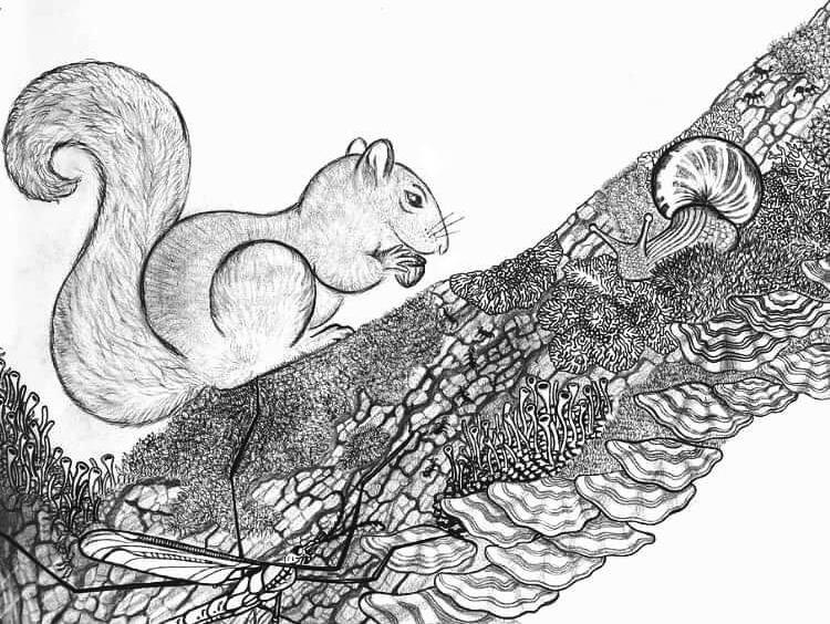 squirl and snail, 2022