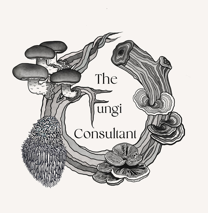 main logo, featuring shiitake, lion’s mane, reishi and turkey tails